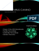 Parvovirus Canino Majo 