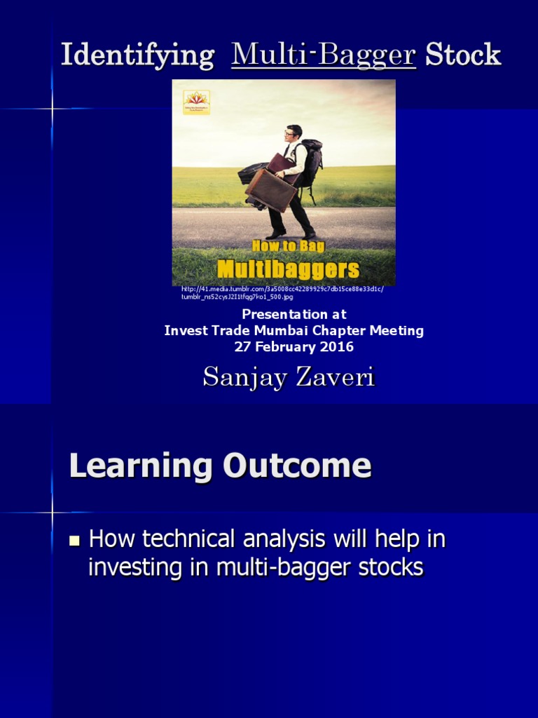 Multi Bagger Stock1 | PDF | Business | Finance & Money Management