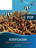 Acidification_Report_2009_Spa.pdf