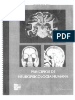 Principios de Neuropsicologia humana. Rains.pdf