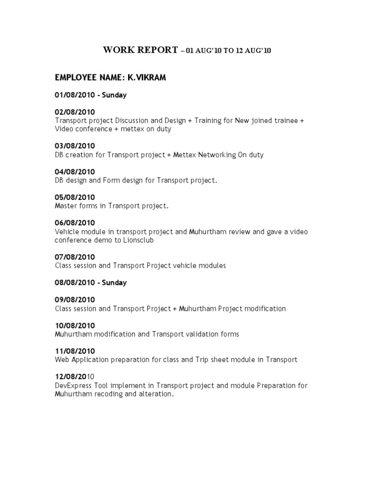 Transport Project Work Report: Aug 2010 | PDF