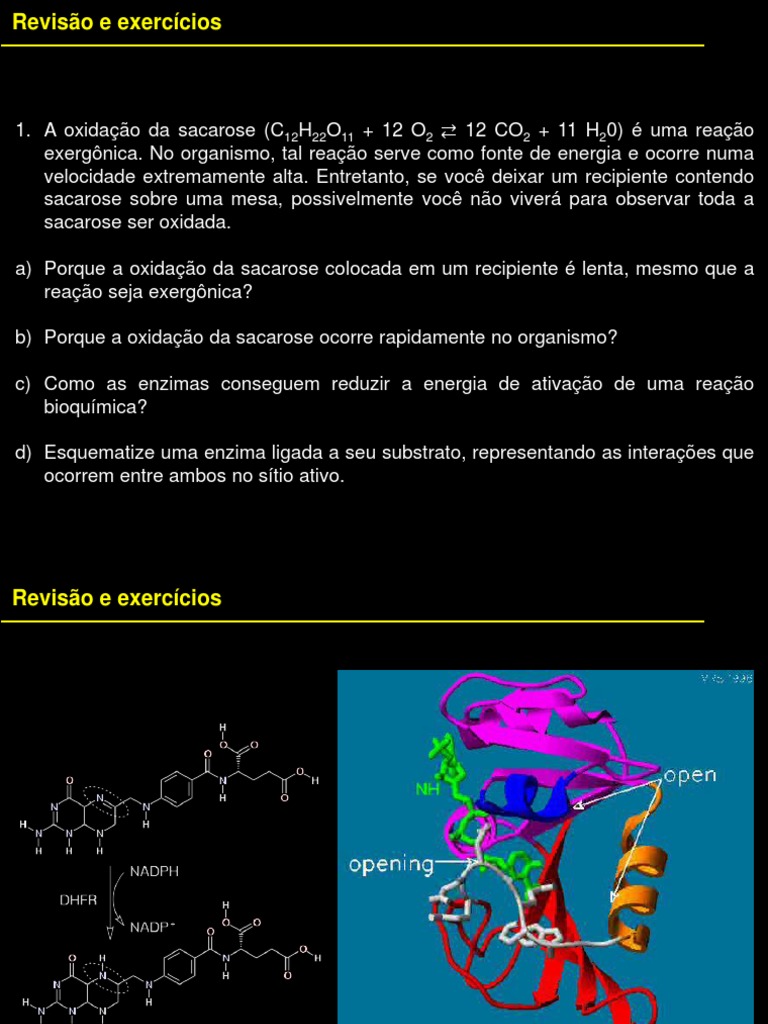 Exercícios sobre Enzimas e Reações Bioquímicas | PDF | Enzima | Reações ...