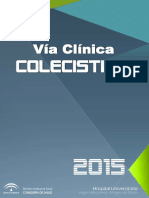 Via_Clinica_CA_2_Junio_2016 (1).pdf