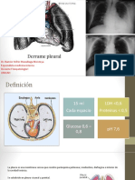 Derrame Pleural