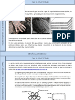 Cap - Vi - Plasticidad PDF