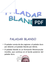 Paladar blando y dientes posteriores