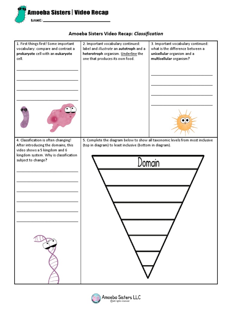 Amoeba Sisters Video Recap Classification Worksheet Answers