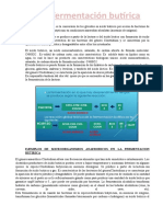 Resumen Fermentacion Butirica