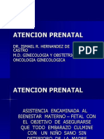 Atencion Prenatal 