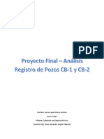 Proyecto Final Registro de Pozos