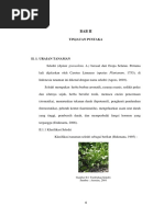 Download Seledri Sebagai Diuretik Bab 2 by Davina Quinn SN359484576 doc pdf