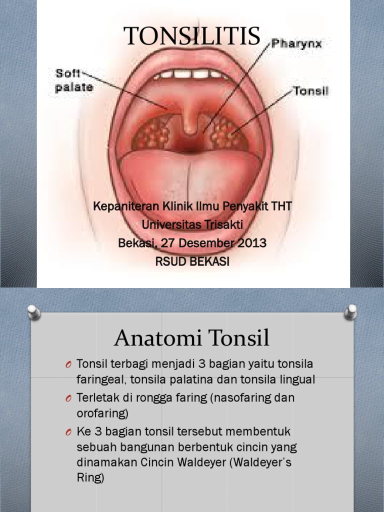 Rus kuyovi mast qaynonasini eshakdan sikibdi