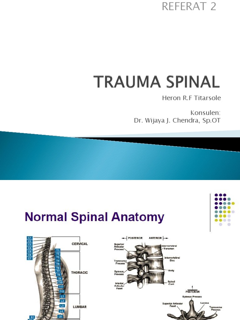 Spinal Cord Injury Assessment Guide | PDF | Vertebra | Vertebral Column