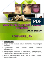 Anatomi Sistem Panca Indra Gudang Makalahmu