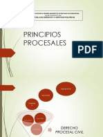  Principios Procesales