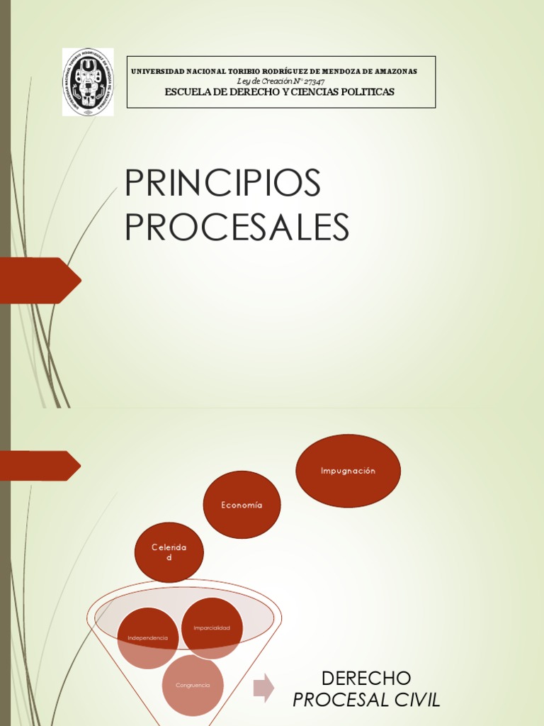 Principios del Derecho Procesal Civil | PDF | Ley procesal | Debido al ...