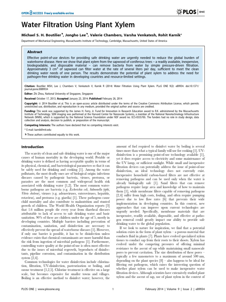 Water Filtration Using Plant Xylem PDF PDF Filtration Water Purification