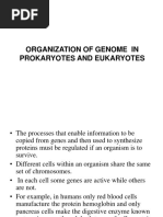 Organization of Genome in Prokaryotes and Eukaryotesppt