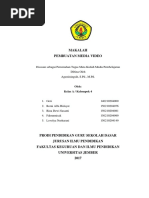 Download Makalah Media Video Pembelajaran by Romi Alfa SN359517563 doc pdf