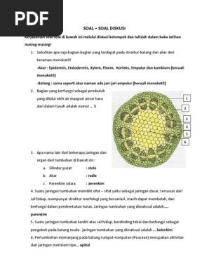 buku jaringan tumbuhan pdf - ilmusosial.id