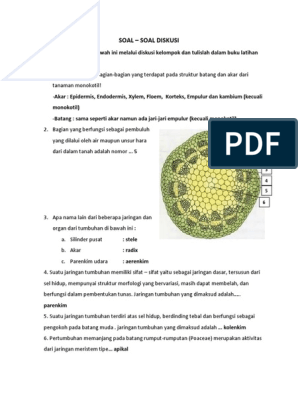 buku jaringan tumbuhan pdf - ilmusosial.id