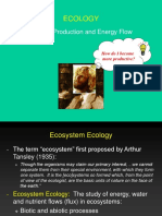 Ecology: Primary Production and Energy Flow