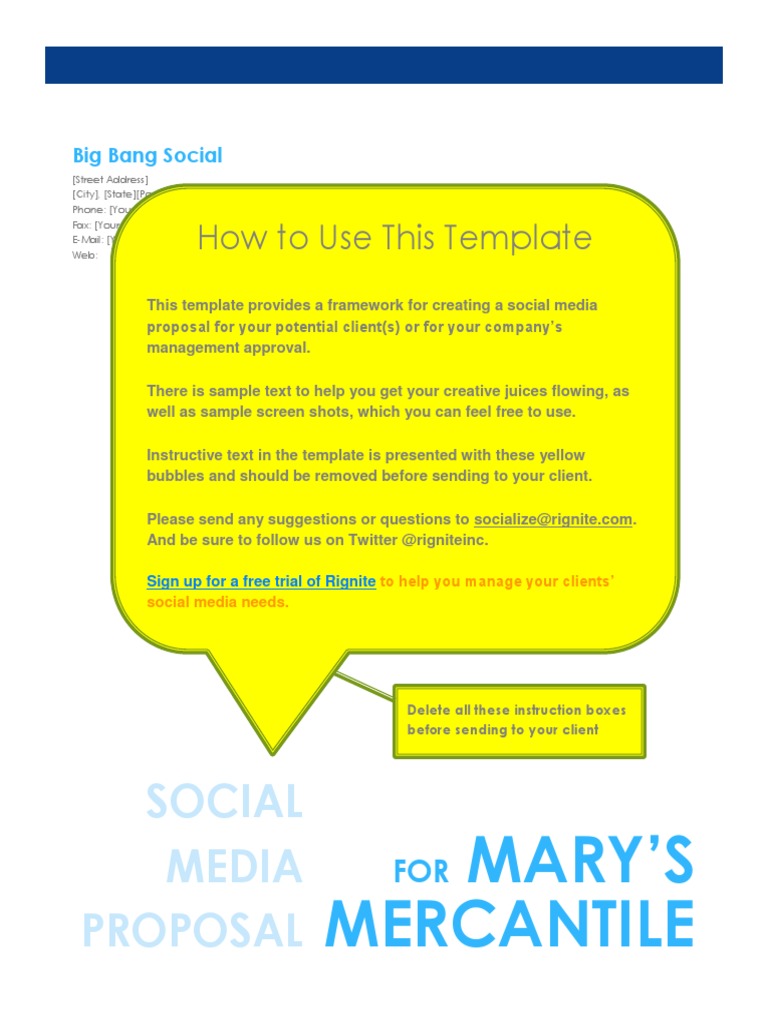 Social Media Proposal Template Social Media Proposal For Timoo | PDF