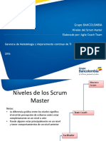 Niveles de Los Scrum Masters