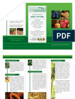 zoneamento agricola_.pdf