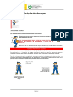 Manipulacion_cargas.pdf