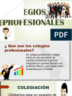 Colegios Profesionales en El Peru