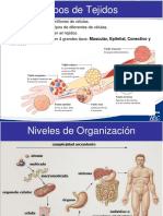 anatomia2016-esp