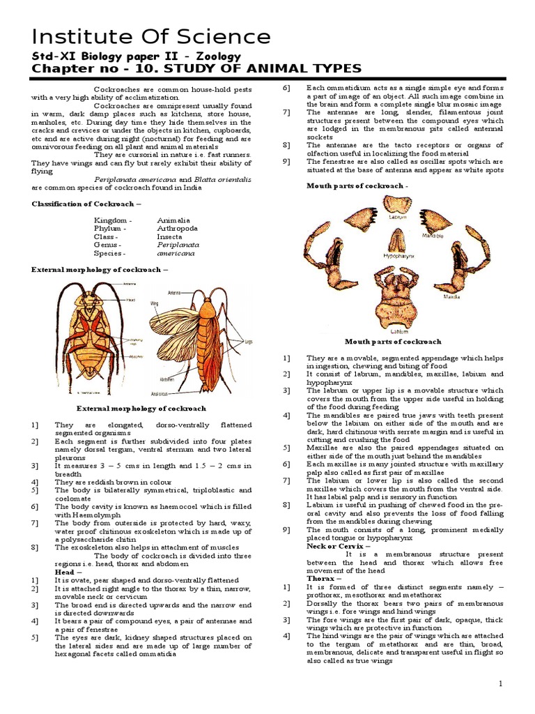 Study of Animal Types | PDF | Circulatory System | Heart