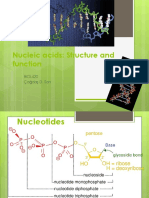 Nucleic Acids - Structure and Function 2013