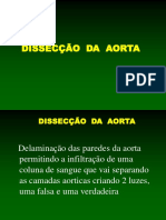 Aorta Apresentaçao2