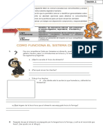 guia-1-sistema-digestivo1 (1).doc