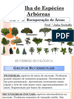 Aula - Espécies Arboreas PDF