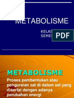 Metabolisme Ok
