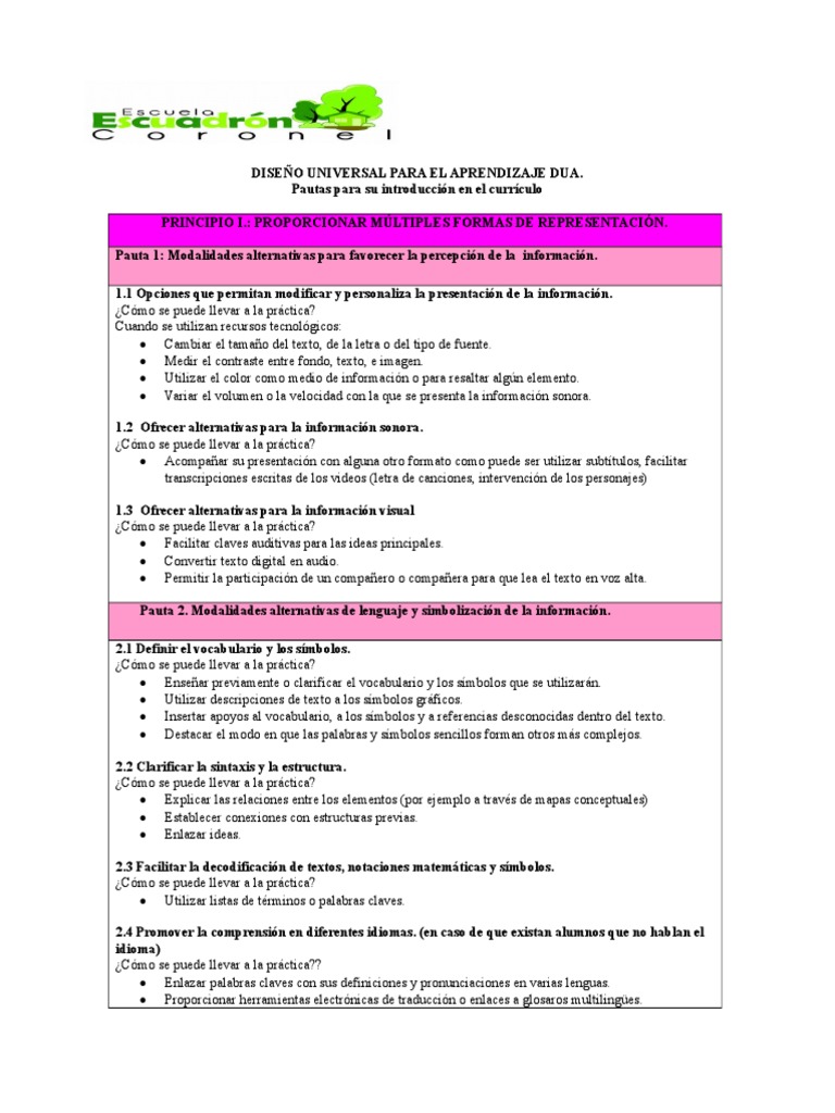 Pautas para el Diseño Universal de Aprendizaje | PDF | Información ...