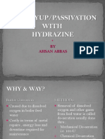 Wet Lay-up/Passivation - Basic Understanding of Hydrazine Treatment