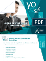 Ciclo de Vida de Las Industrias - Estrategia