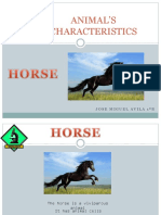 Animal's Characteristics