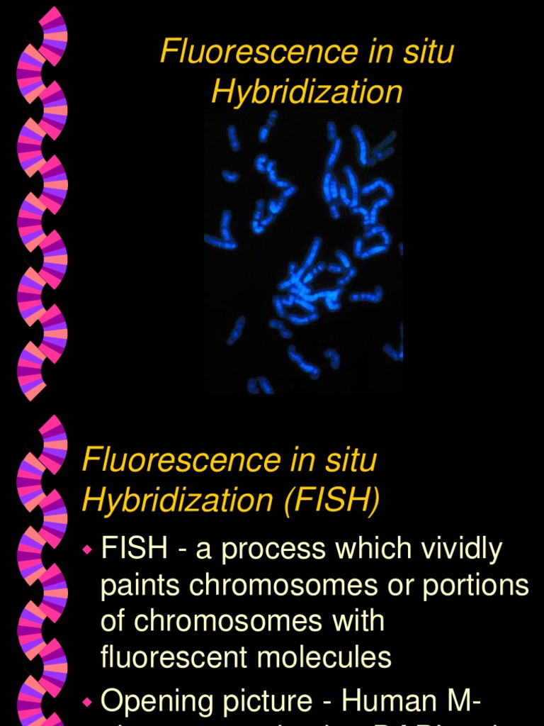 Fish PDF Fluorescence In Situ Hybridization
