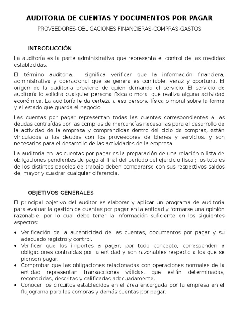 Auditoría de Cuentas por Pagar y Proveedores | PDF | Auditoría ...