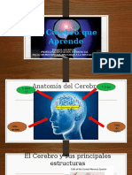 Como Aprende El Cerebro 3