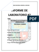 INFORME 2