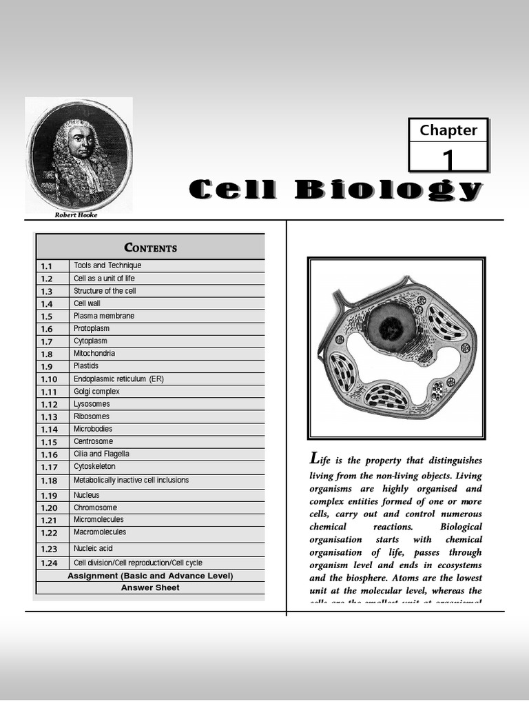 Assignment (Basic and Advance Level) Answer Sheet | PDF | Science ...