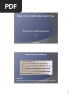 Aula Macroinvertebrados