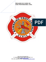BOMBEIRO PROFISSIONAL CIVIL (2).pdf
