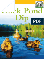 Duck Pond Dip